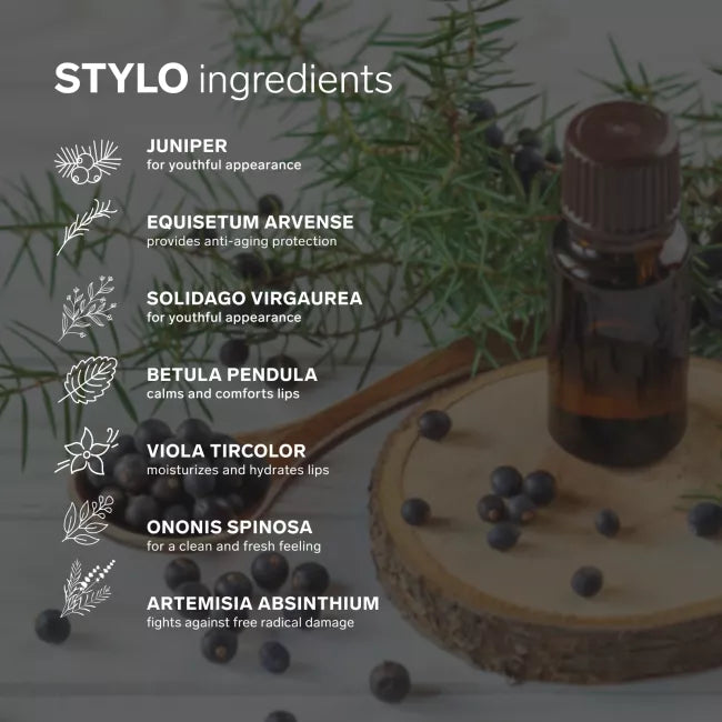LELO™ Stylo Lipstick