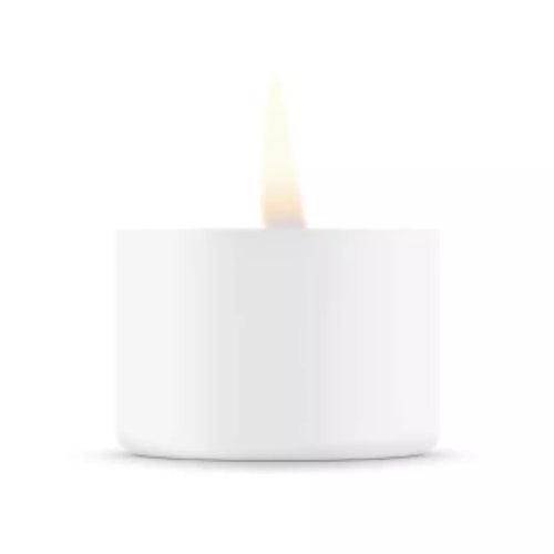 Botanical Infusion Warm Oil